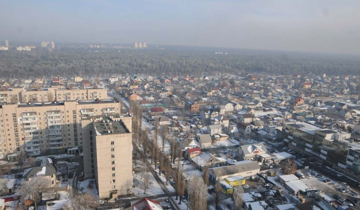 Покупка дома в Дарницком районе